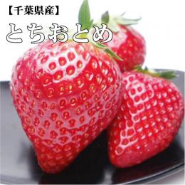 【いっぴん】千葉県産　とちおとめ