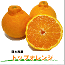 【いっぴん】熊本県産　トップオレンジ(不知火)