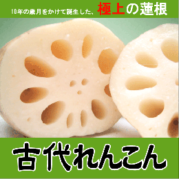 千葉県産　古代れんこん