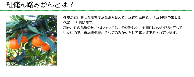 紅俺ん路みかんとは、外皮が紅色をした高糖度系温州みかんで、正式な品種名は「山下紅(やましたべに)」と言います。市場関係者からは幻のみかんとして高い評価をされています。