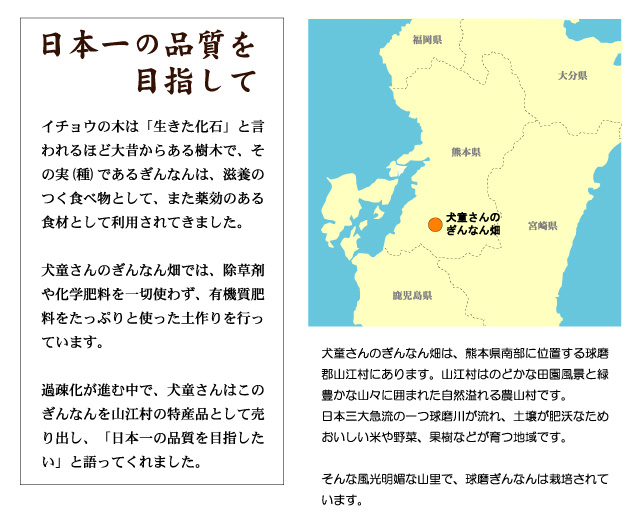 犬童さんのぎんなん畑では、栽培期間中は除草剤や化学肥料を一切使わず、有機質肥料をたっぷりと使った土作りを行っています。