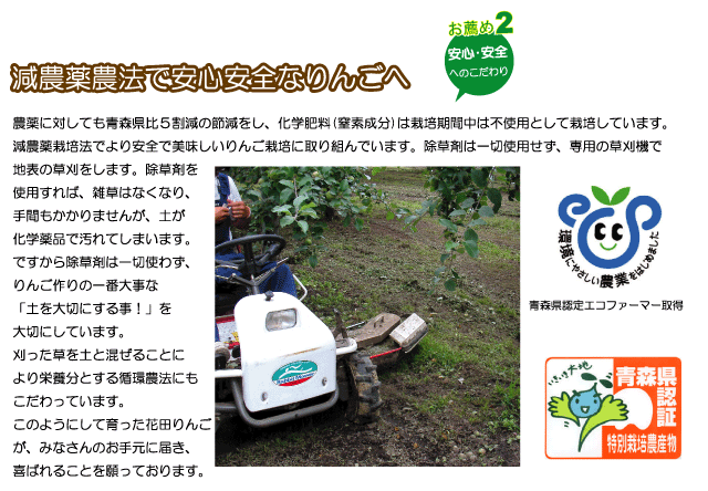 花田りんごは安心安全にもこだわります。農薬に対しても青森県比5割減の節減をし化学肥料(窒素成分)は、栽培期間中は不使用として栽培しています。