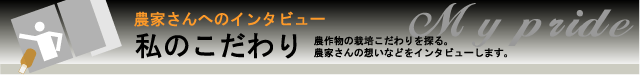 農家さんへ栽培のこだわりをインタビューしました。