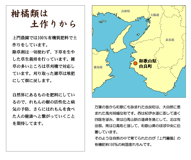 上門農園では100%有機質肥料で土作りをしてれもんを栽培しています。除草剤は一切使わず、下草を生やした草生栽培を行っています。雑草の多いところは草刈機で対応しています。刈り取った雑草は堆肥にして畑に戻します。