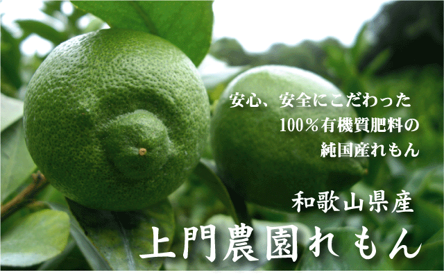 防カビ剤不使用、ノーワックス。和歌山県産グリーンレモン