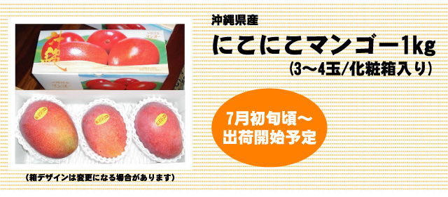 沖縄県産にこにこマンゴー1kg。7月初旬より出荷予定、ただいまご予約受付中です。