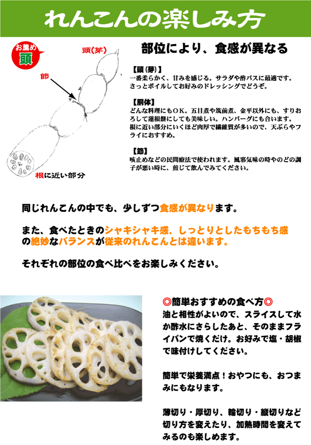 れんこんは部位により食感が異なります。一番のおすすめは頭(芽)の部分。一番柔らかく甘みを感じるのでサラダや酢バスに最適です。