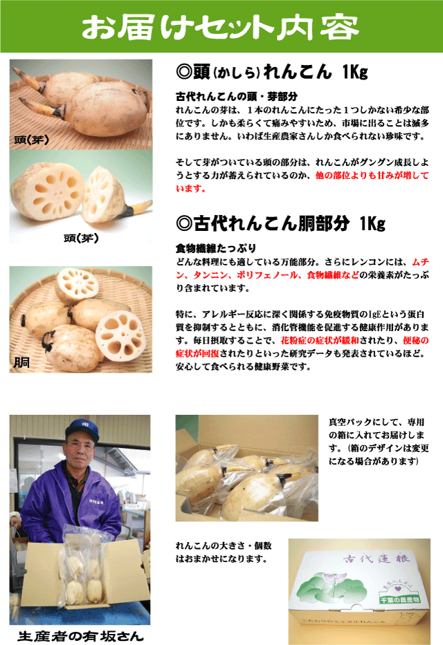 古代れんこんの頭(かしら)・芽の部分1Kgと胴部分1Kgをセットにしてお届けします。食べ比べをお楽しみください。