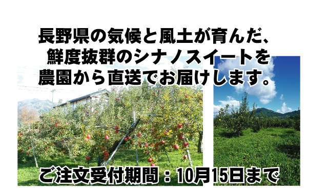 長野県の気候と風土が育んだ、<br />
鮮度抜群のシナノスイートを農園から直送でお届けします。