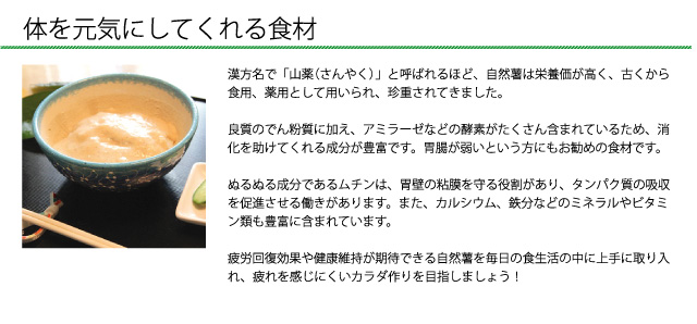 疲労回復効果や健康維持が期待できる自然薯。毎日の食生活の中に上手に取り入れましょう!