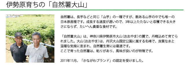 「自然薯大山」は、神奈川県伊勢原市大山(おおやま)の麓で、丹精込めて育てられました。2011年11月、「かながわブランド」の認定を受けました。